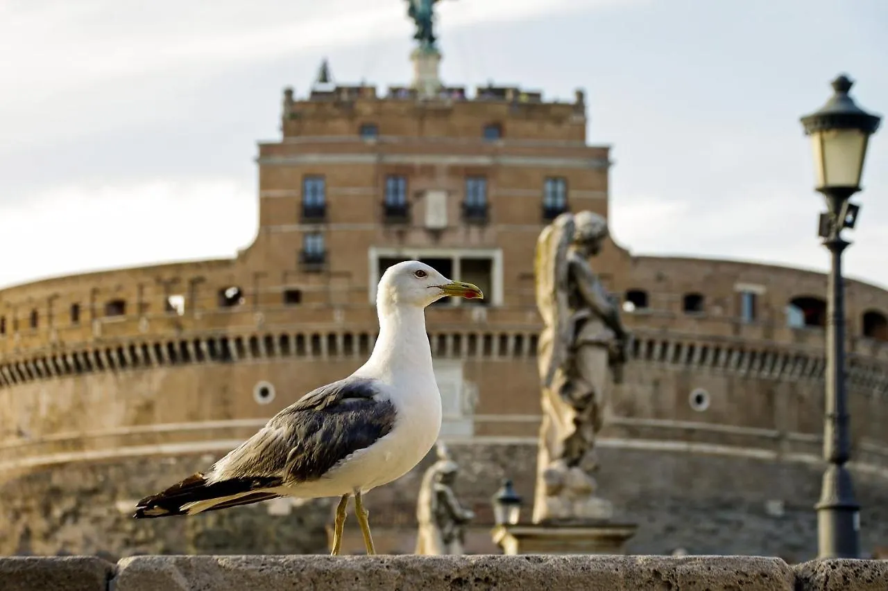 Roma Vatican 0*, Řím